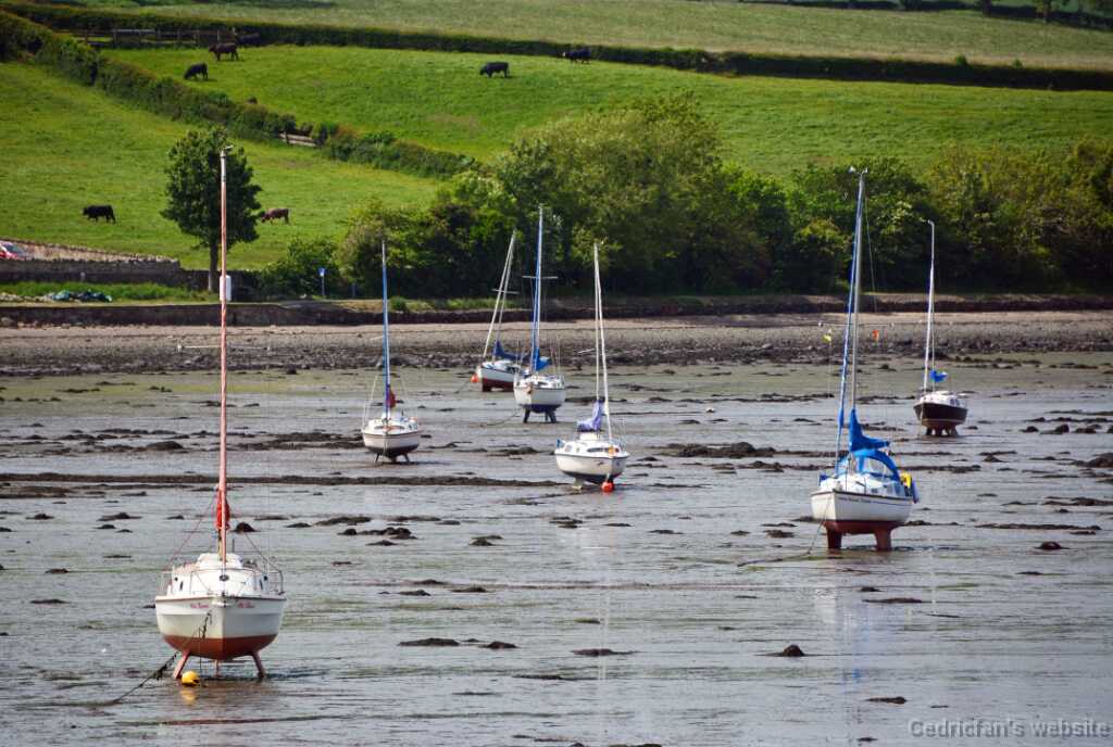 DSN_0834