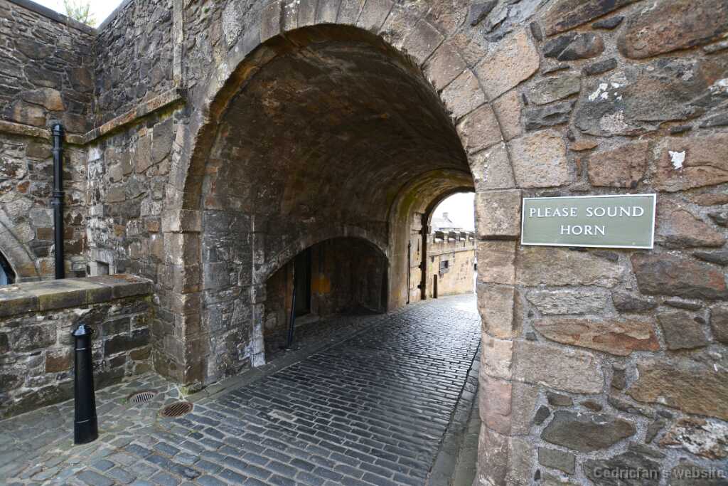 DSN_0923