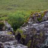 DSN_0996