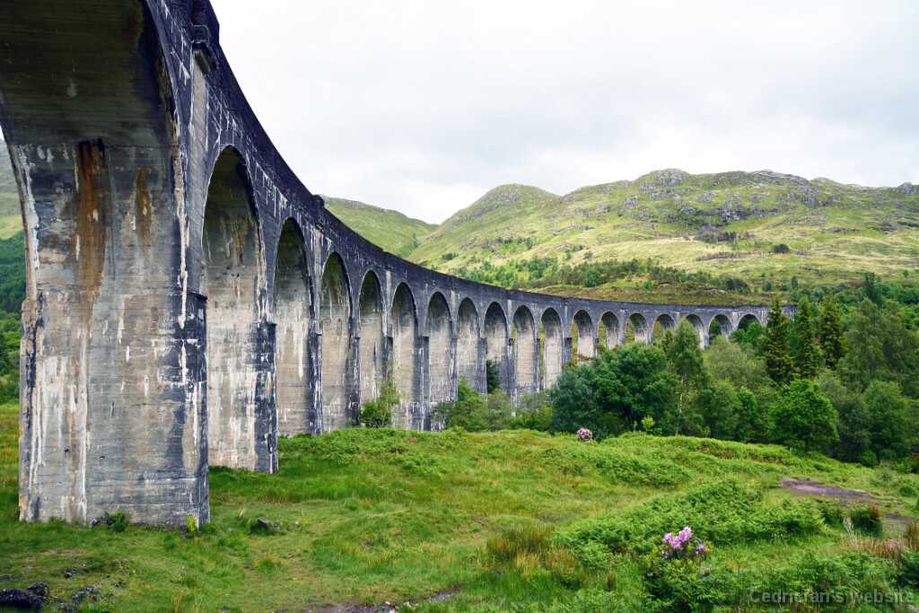 DSN_1010