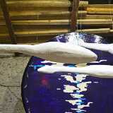 DSO_1355