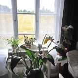 DSC_1166