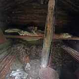 IMG_20220819_114511