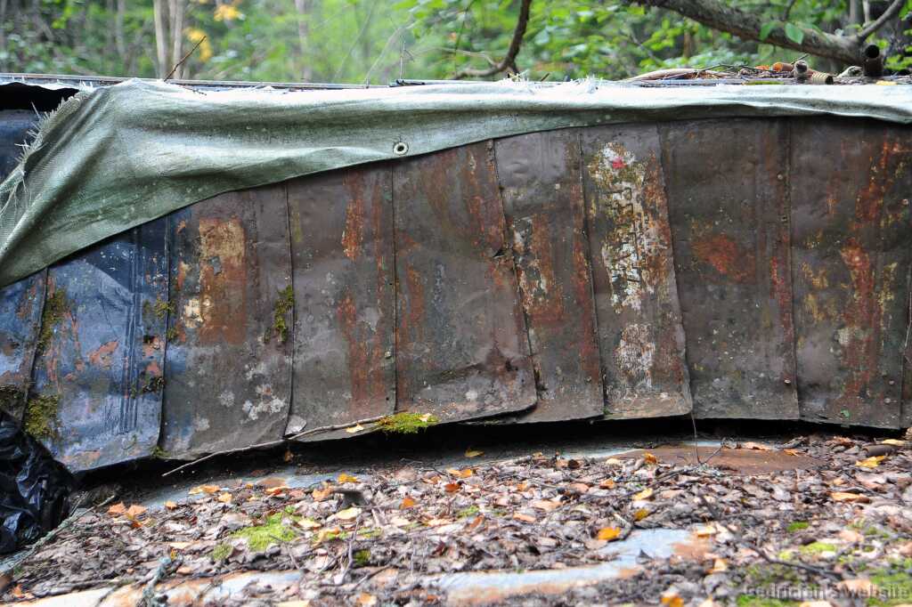 DSC_1129