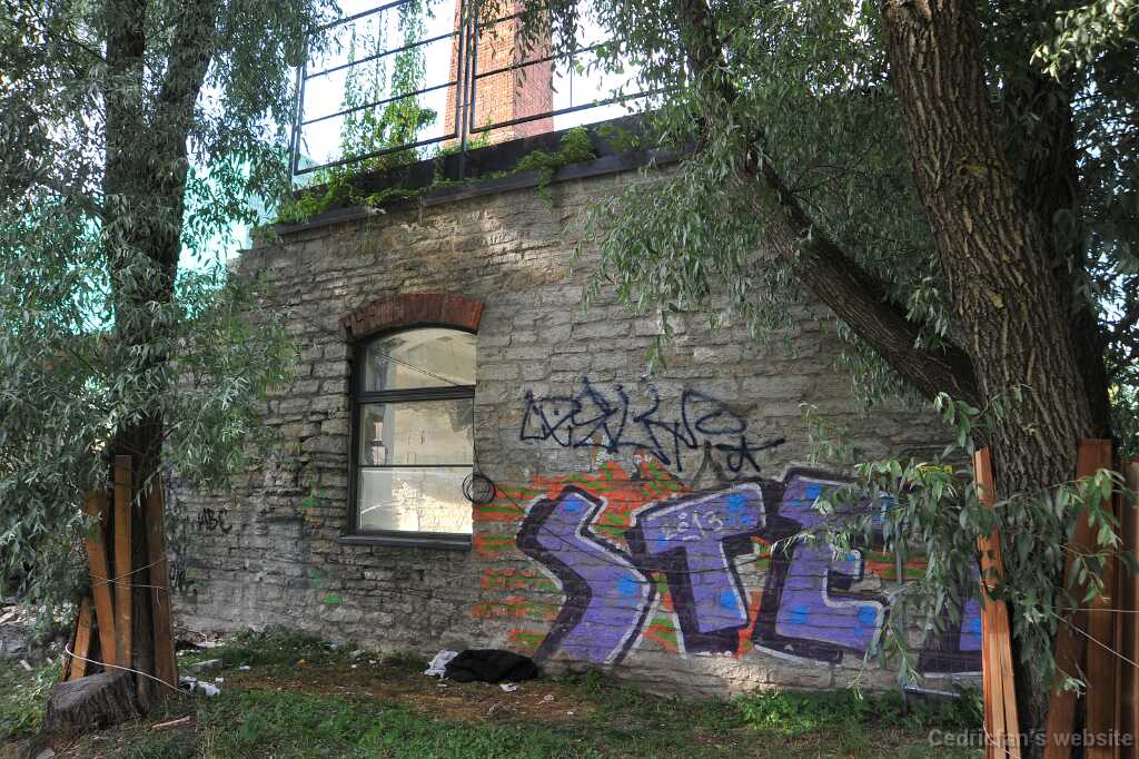 DSC_1005