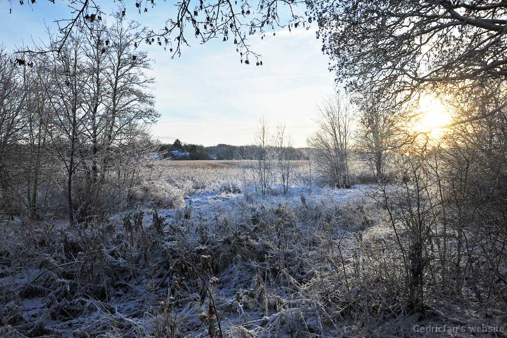 DSC_1348
