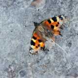 IMG_20220313_144812
