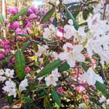 IMG_20220616_172959