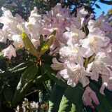 IMG_20220616_173649