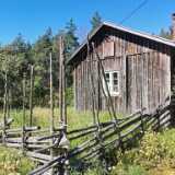 IMG_20220813_131229