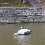 IMG_20220821_115927