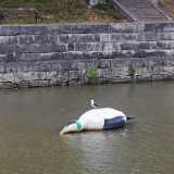 IMG_20220821_115931