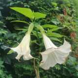 IMG_20220828_102310