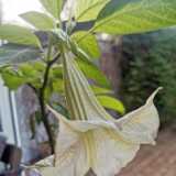 IMG_20221119_103414