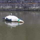 img_20220821_112146