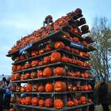 22_10_HalikonKurpitsat