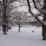 22_12_RuissaloWinter