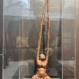 IMG_20230521_122738