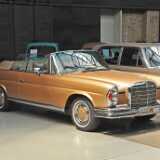 DSC_1779