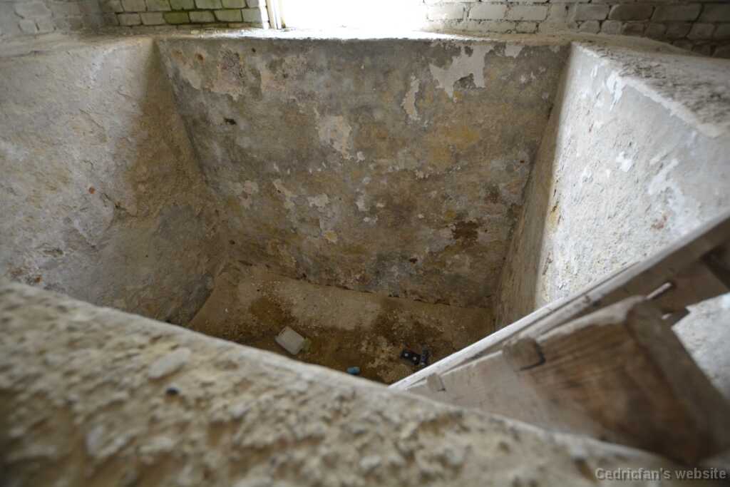 DSO_1753