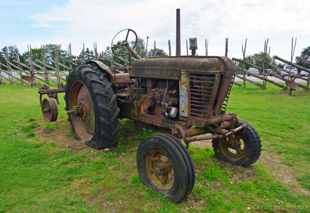 DSO_1666