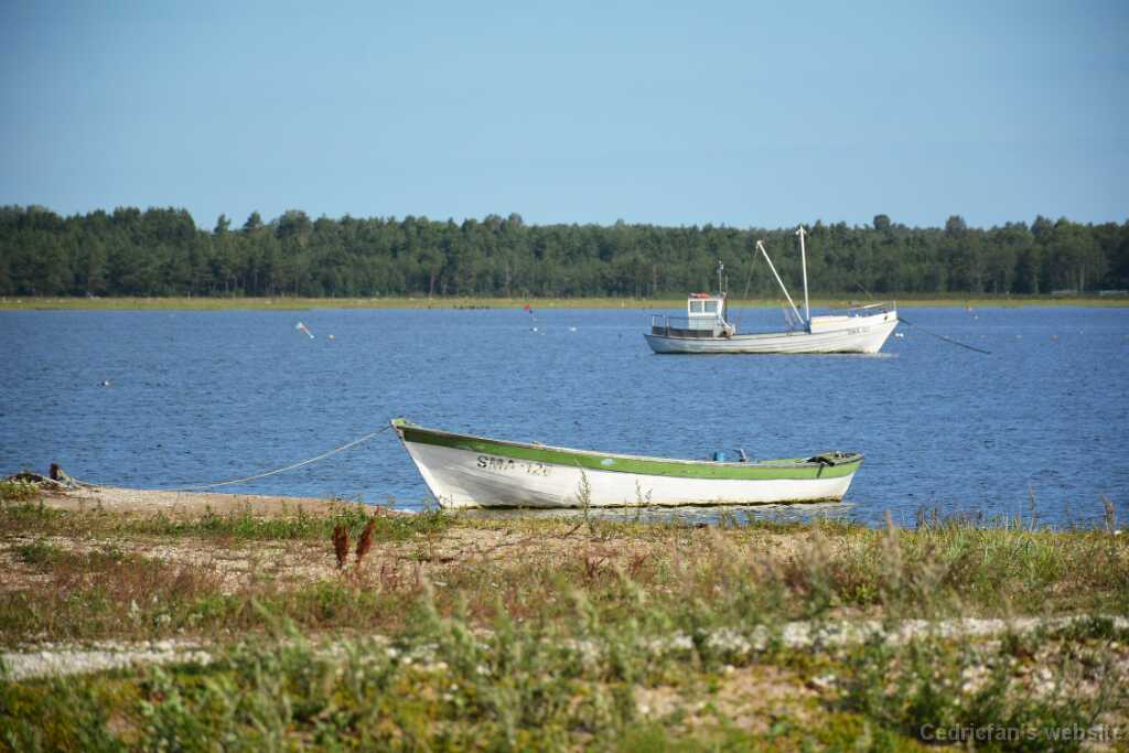 DSO_1634