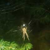 IMG_20230814_175034_1