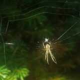 IMG_20230814_175038