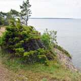 Saaremaa Panga Pank