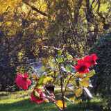 IMG_20231029_135030