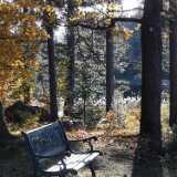 IMG_20231029_135203
