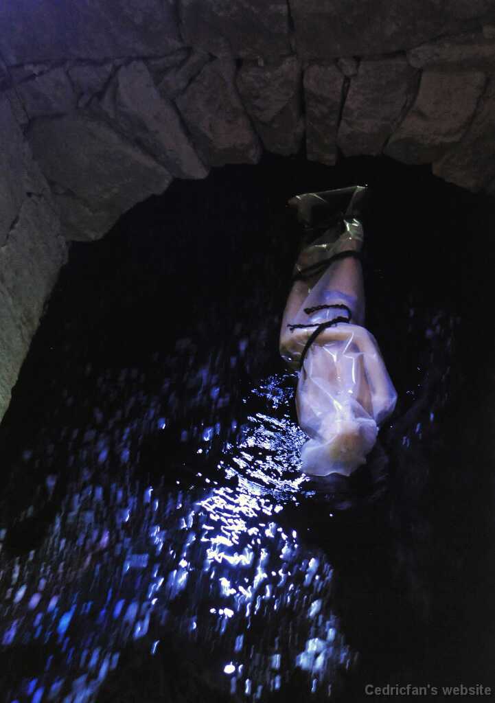 DSC_2016