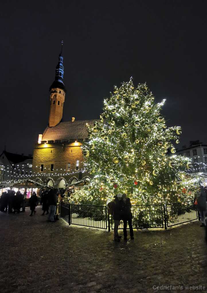 IMG_20231228_172751