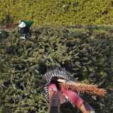 IMG_20230407_142247