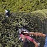 IMG_20230407_142314