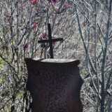 IMG_20230507_154021