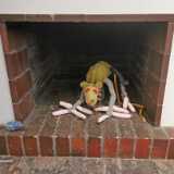 IMG_20231111_131350