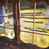 DSO_2438