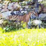 IMG_20240527_110427