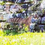 IMG_20240527_110436