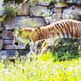 IMG_20240527_110452