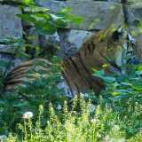 img_20240527_110255