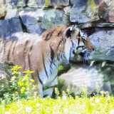 img_20240527_110404