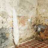 IMG_20240623_123921