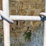IMG_20240905_132634