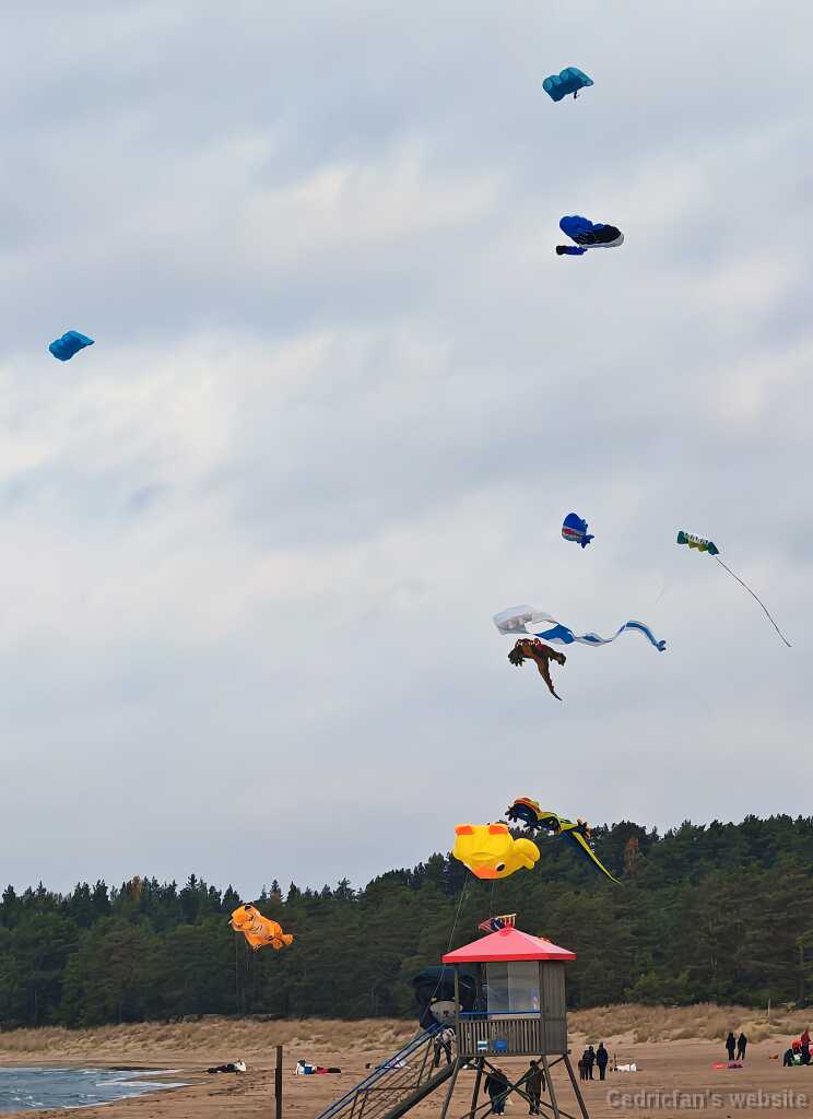 IMG_20241020_101704