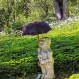IMG_20240622_132725