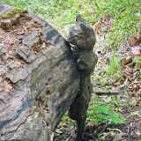IMG_20240622_143241