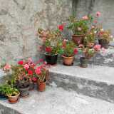 IMG_20240630_133029