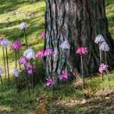 IMG_20240915_130229